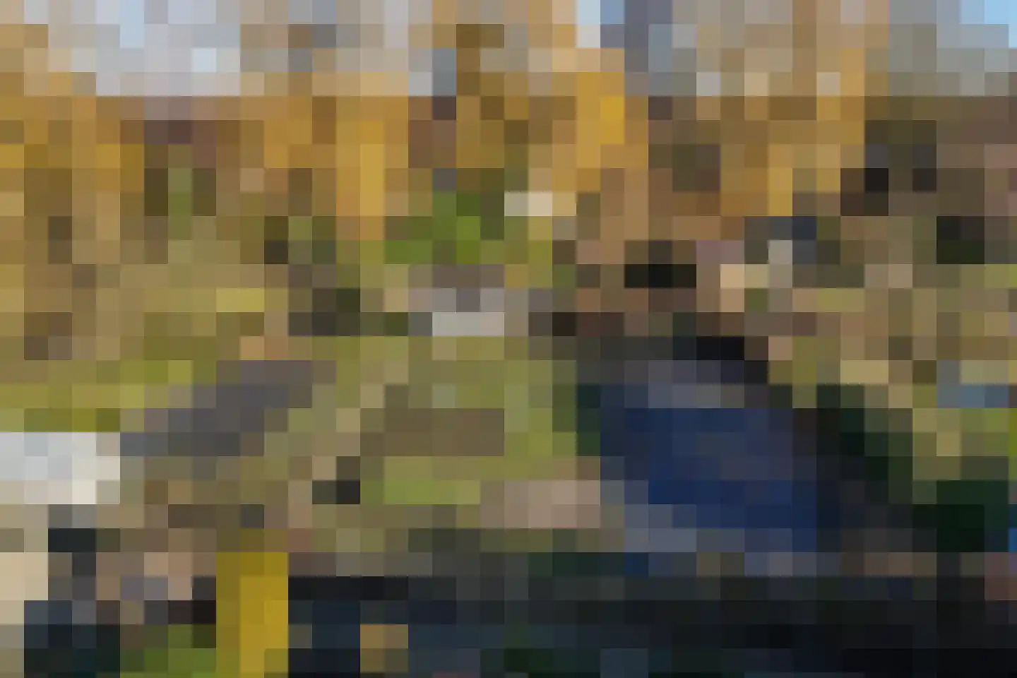 F D Rooseveltsingel 23 Doesburg thumbnail 42