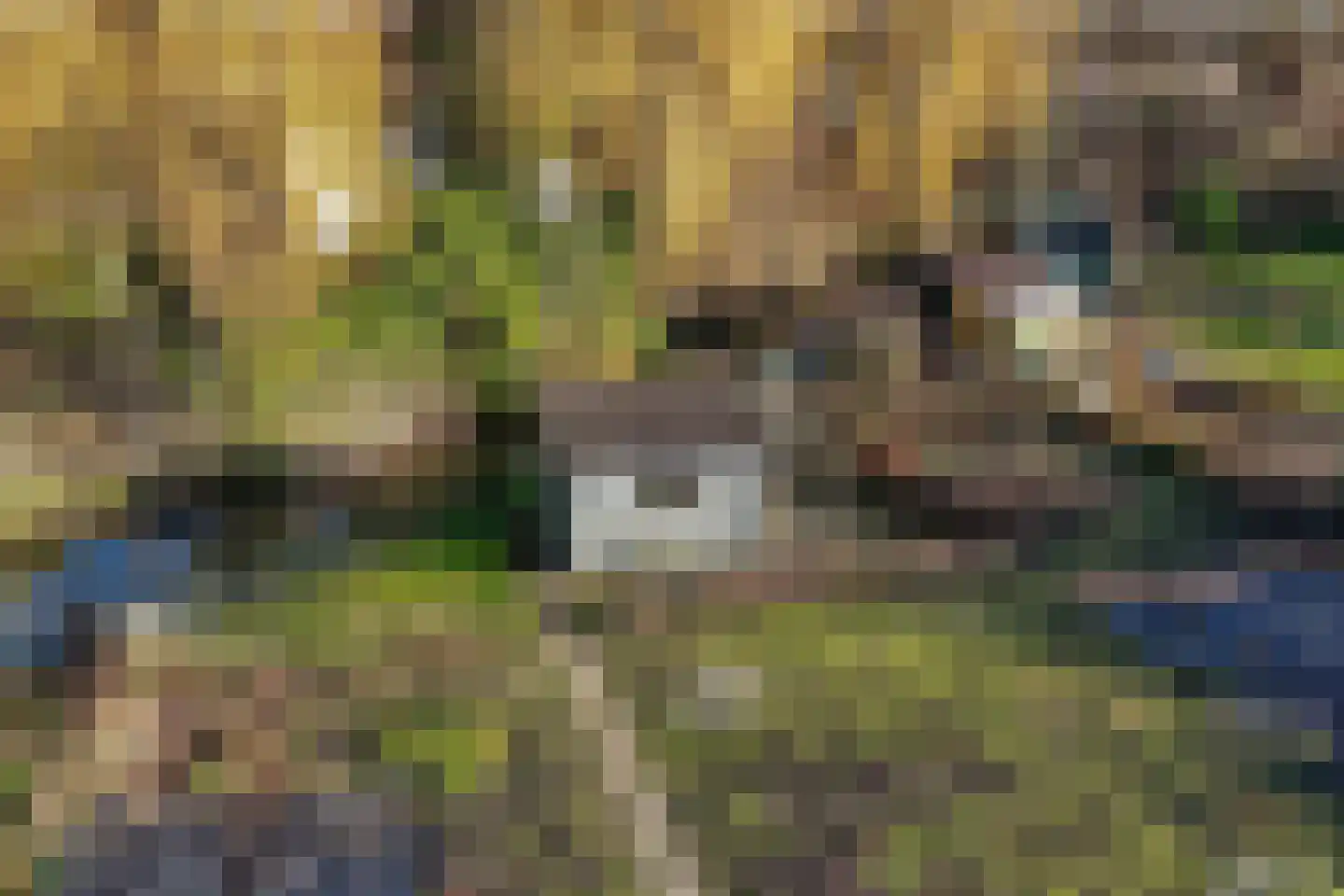 F D Rooseveltsingel 23 Doesburg thumbnail 45