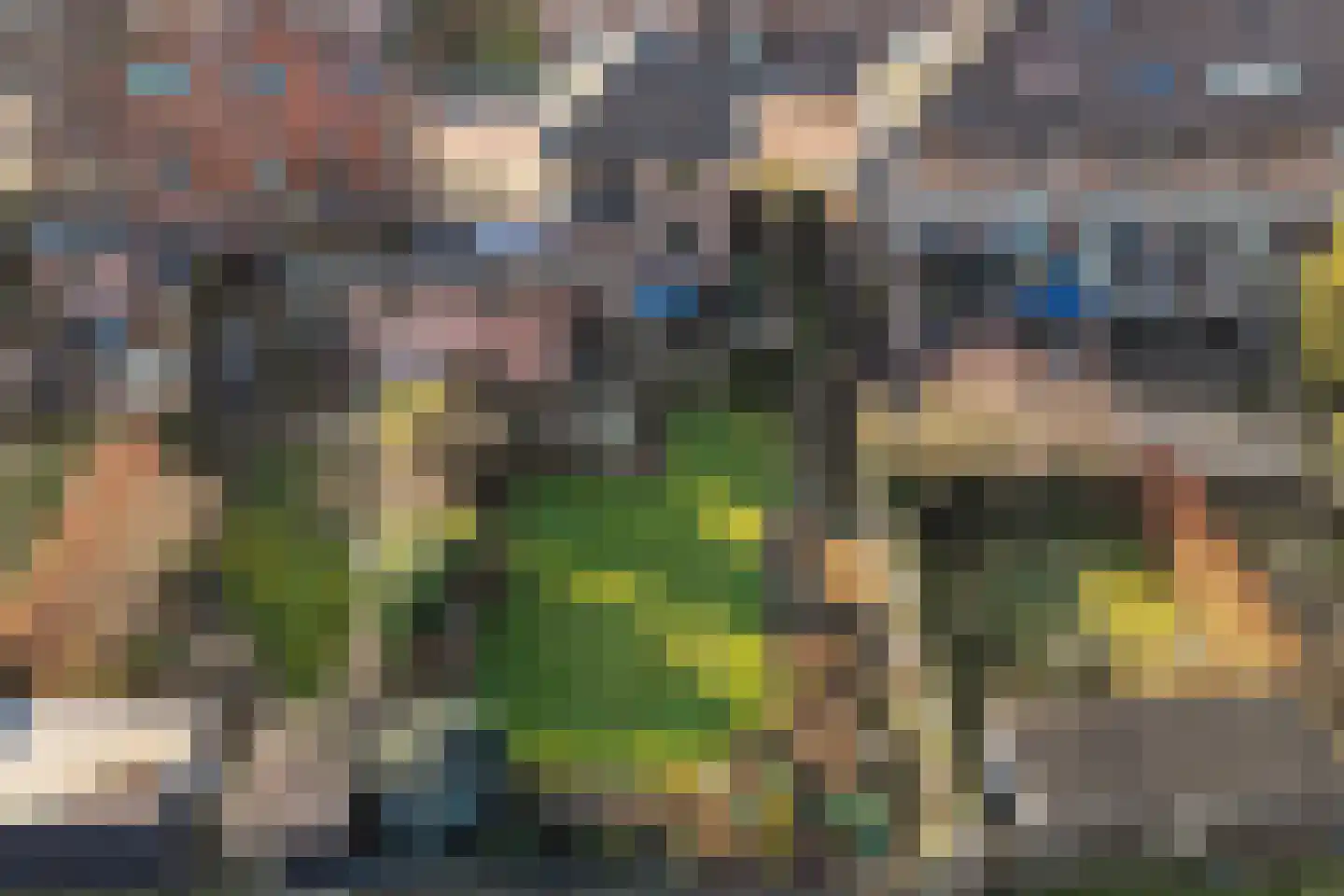 F D Rooseveltsingel 23 Doesburg thumbnail 49