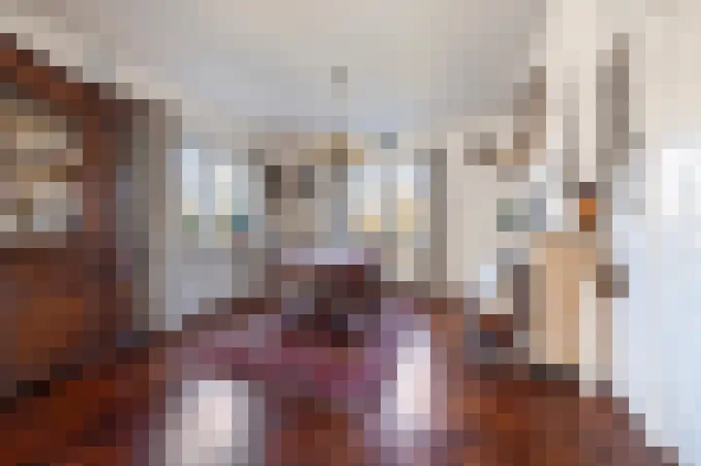 F D Rooseveltsingel 23 Doesburg thumbnail 7