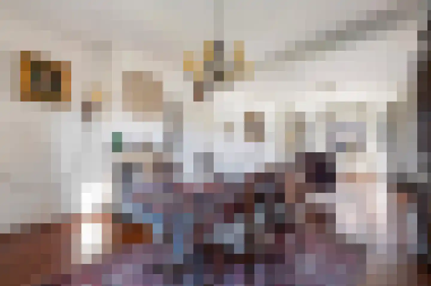 F D Rooseveltsingel 23 Doesburg thumbnail 8