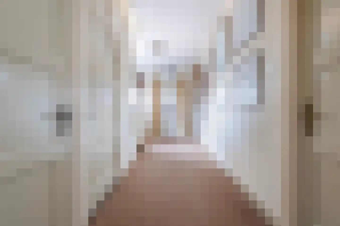 F D Rooseveltsingel 23 Doesburg thumbnail 8