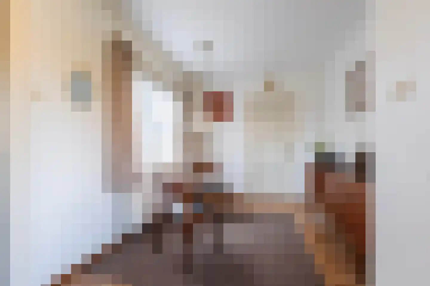 F D Rooseveltsingel 23 Doesburg thumbnail 9
