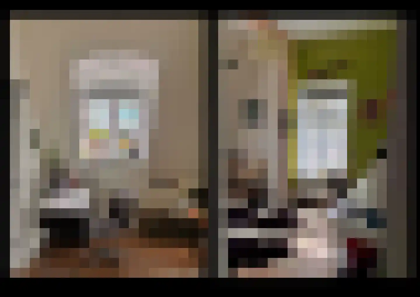 F D Rooseveltsingel 52 Doesburg thumbnail 27