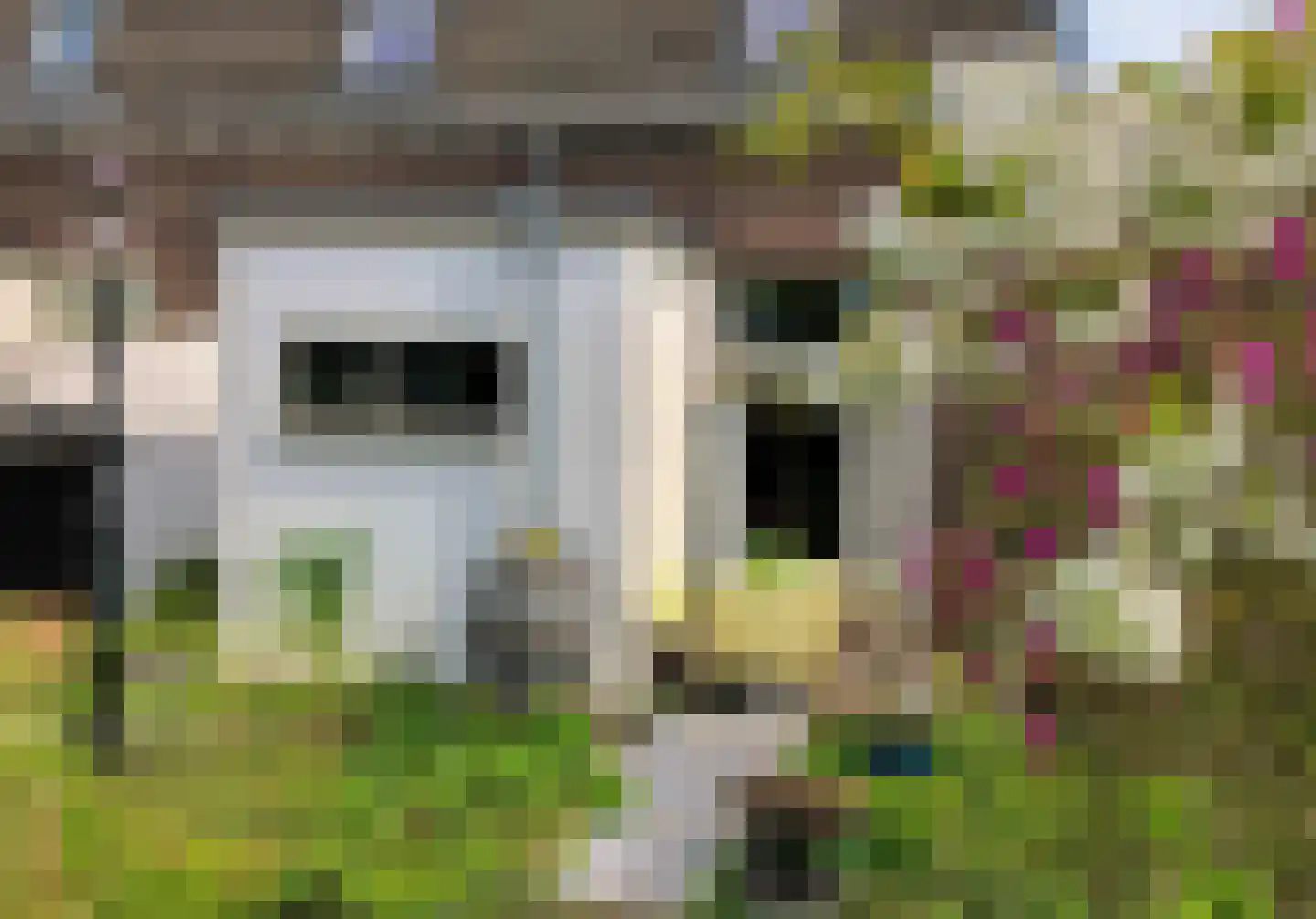 F D Rooseveltsingel 52 Doesburg thumbnail 31
