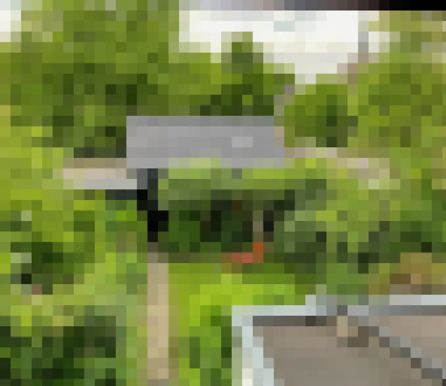 F D Rooseveltsingel 52 Doesburg thumbnail 32