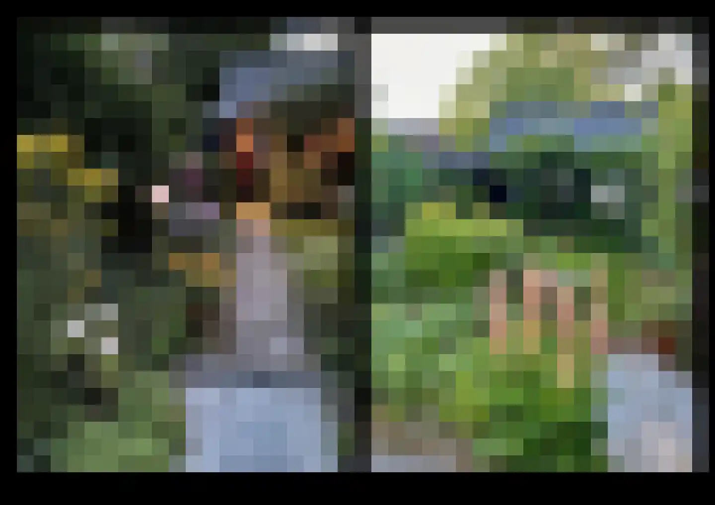 F D Rooseveltsingel 52 Doesburg thumbnail 34