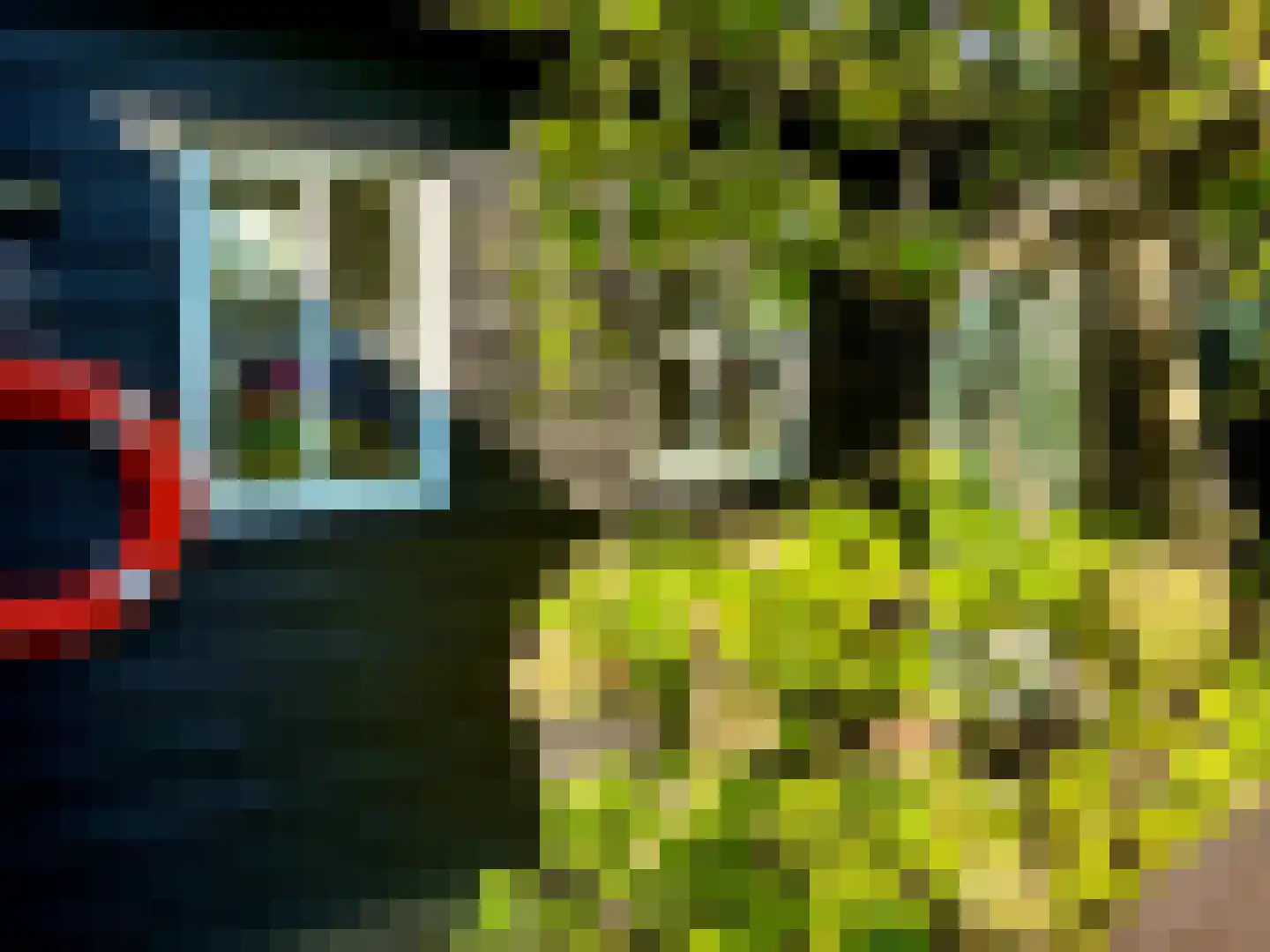 F D Rooseveltsingel 52 Doesburg thumbnail 36