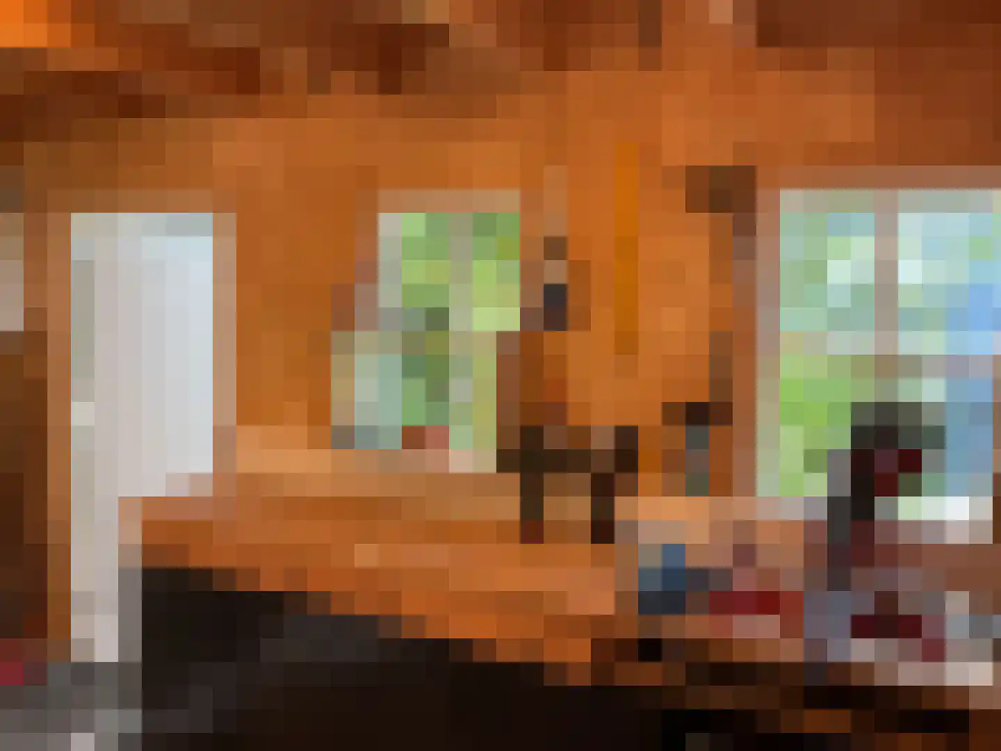 F D Rooseveltsingel 52 Doesburg thumbnail 37