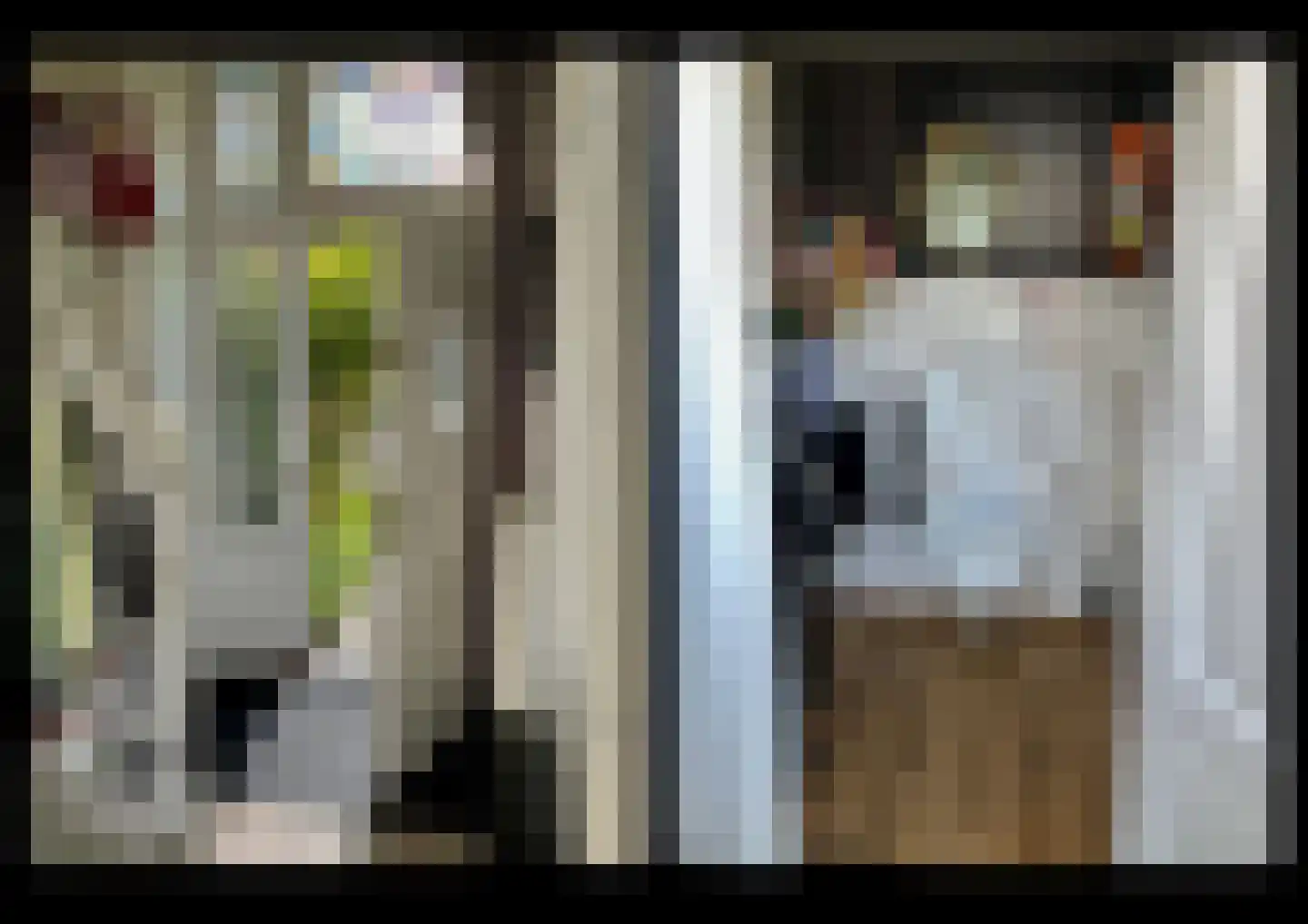 F D Rooseveltsingel 52 Doesburg thumbnail 4