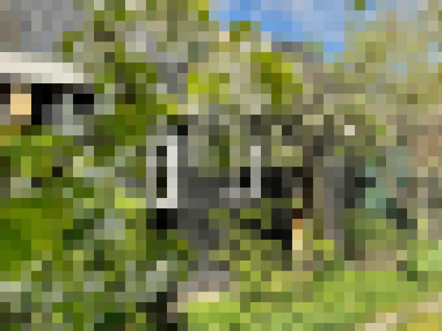 F D Rooseveltsingel 52 Doesburg thumbnail 40