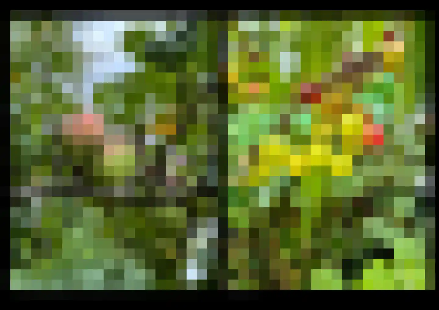 F D Rooseveltsingel 52 Doesburg thumbnail 42