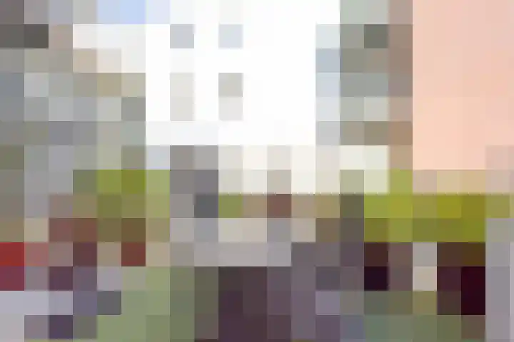 F D Rooseveltsingel 78 Doesburg thumbnail 27