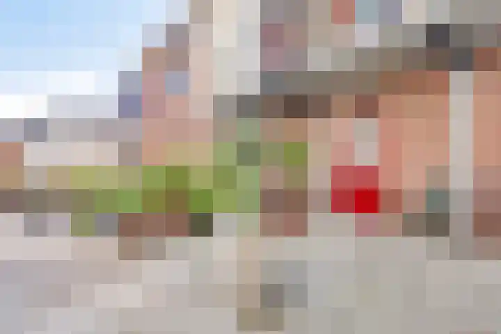 F D Rooseveltsingel 78 Doesburg thumbnail 28