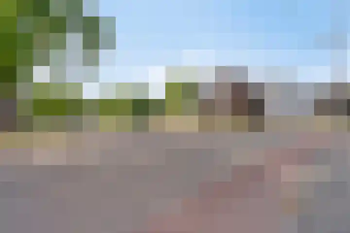 F D Rooseveltsingel 78 Doesburg thumbnail 33