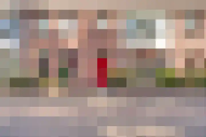 F D Rooseveltsingel 78 Doesburg thumbnail 6