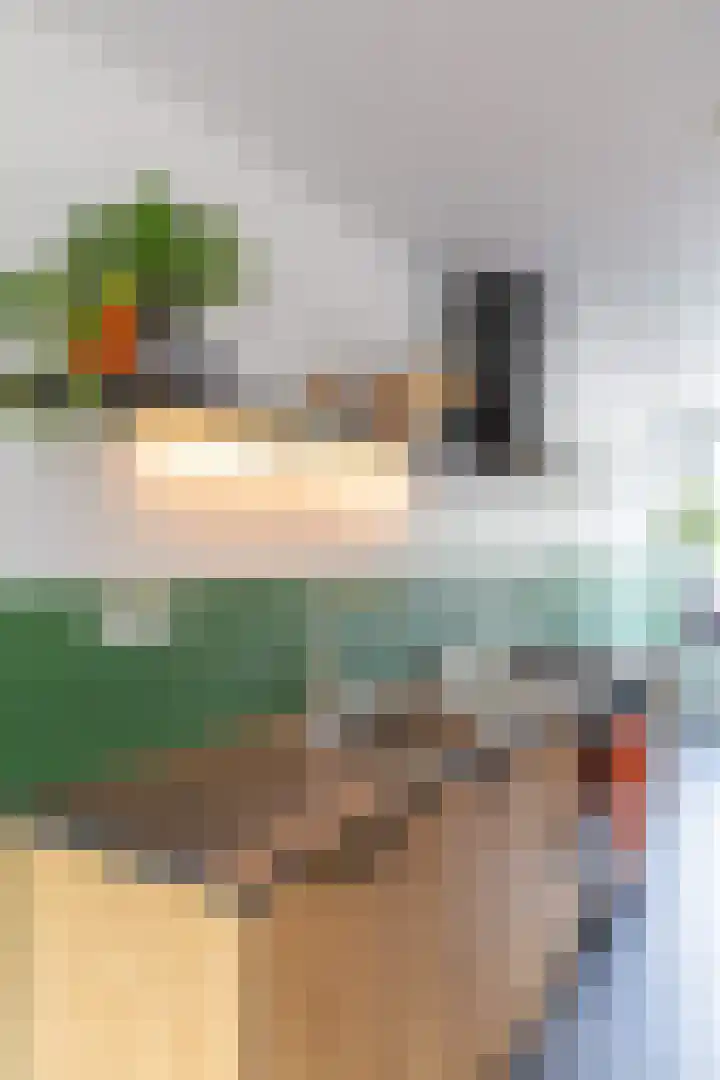 F.D. Rooseveltstraat 22 Groningen thumbnail 11