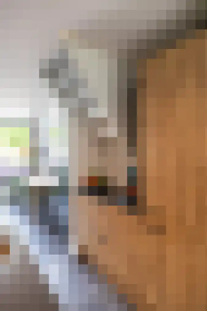 F.D. Rooseveltstraat 22 Groningen thumbnail 13
