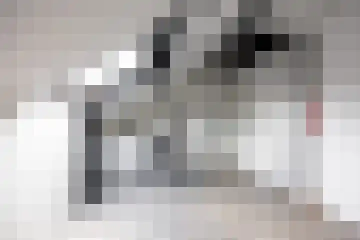 F.D. Rooseveltstraat 22 Groningen thumbnail 34