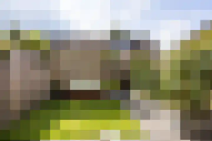 F.D. Rooseveltstraat 22 Groningen thumbnail 35