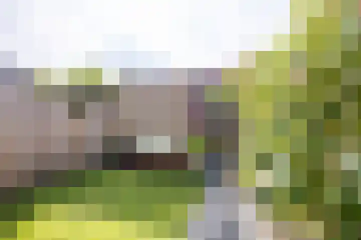 F.D. Rooseveltstraat 22 Groningen thumbnail 37