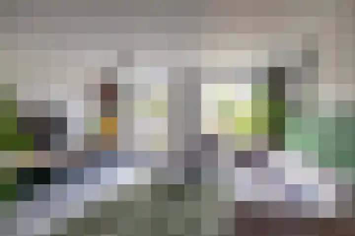 F.D. Rooseveltstraat 22 Groningen thumbnail 5