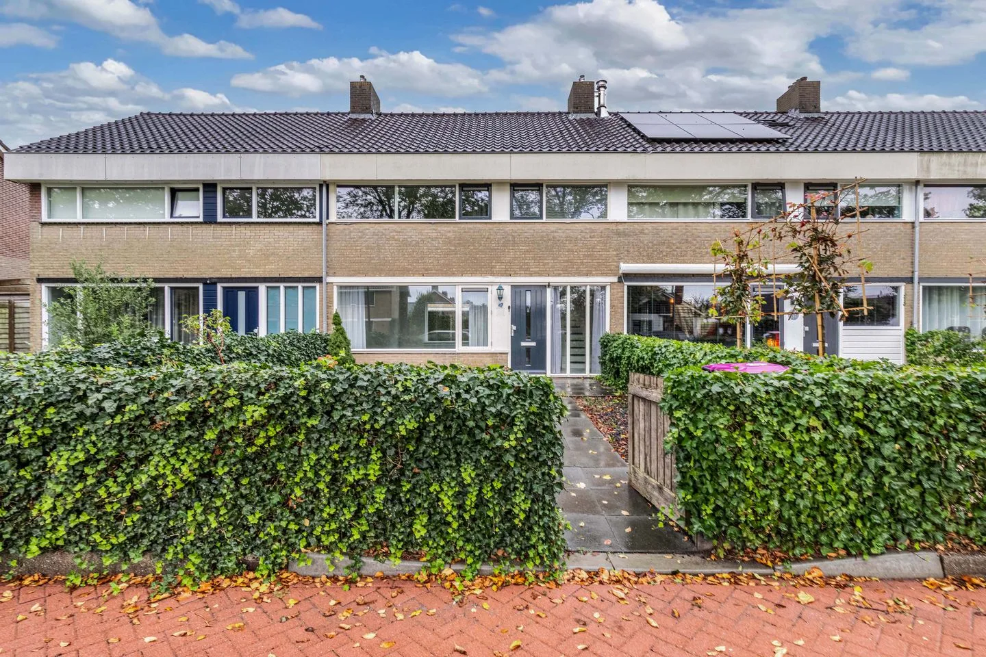 F. Domela Nieuwenhuisstraat 47 Harlingen foto 3