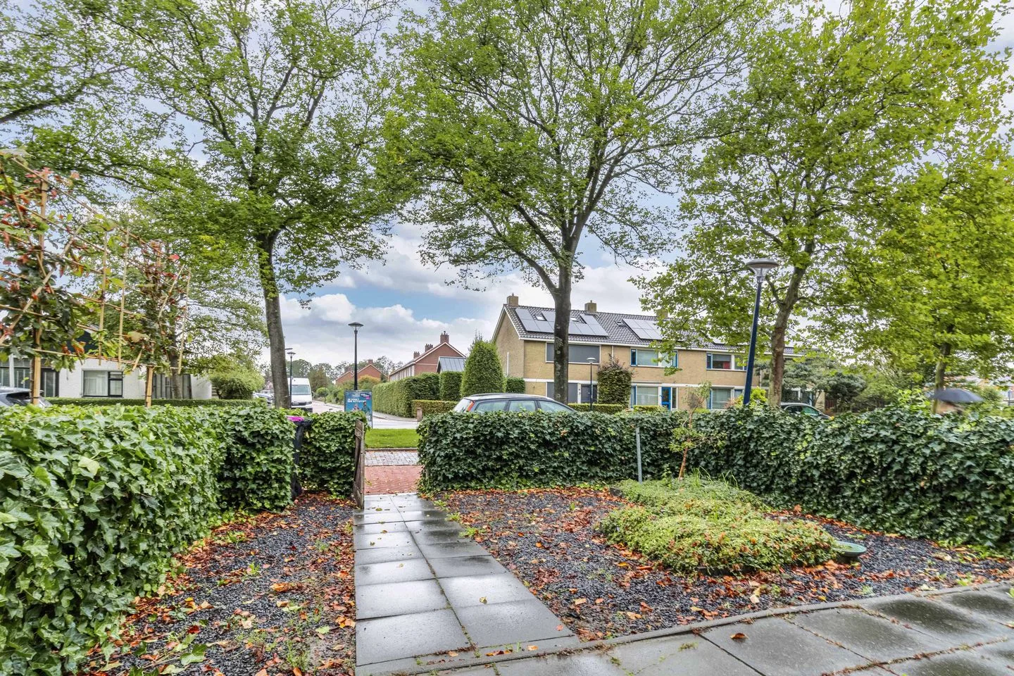 F. Domela Nieuwenhuisstraat 47 Harlingen thumbnail 9