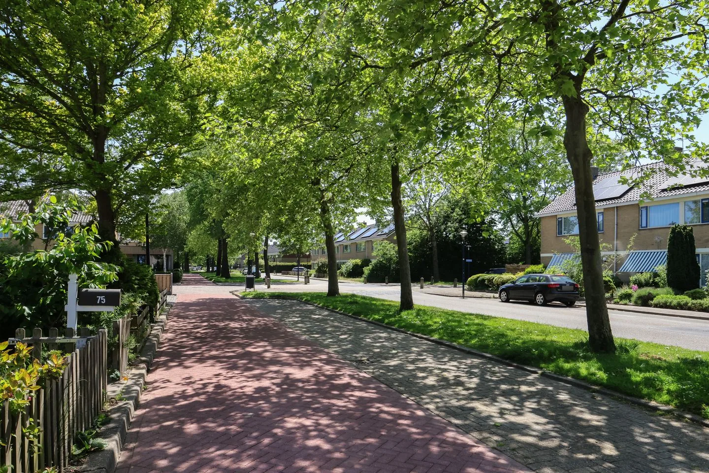 F. Domela Nieuwenhuisstraat 75 Harlingen thumbnail 52