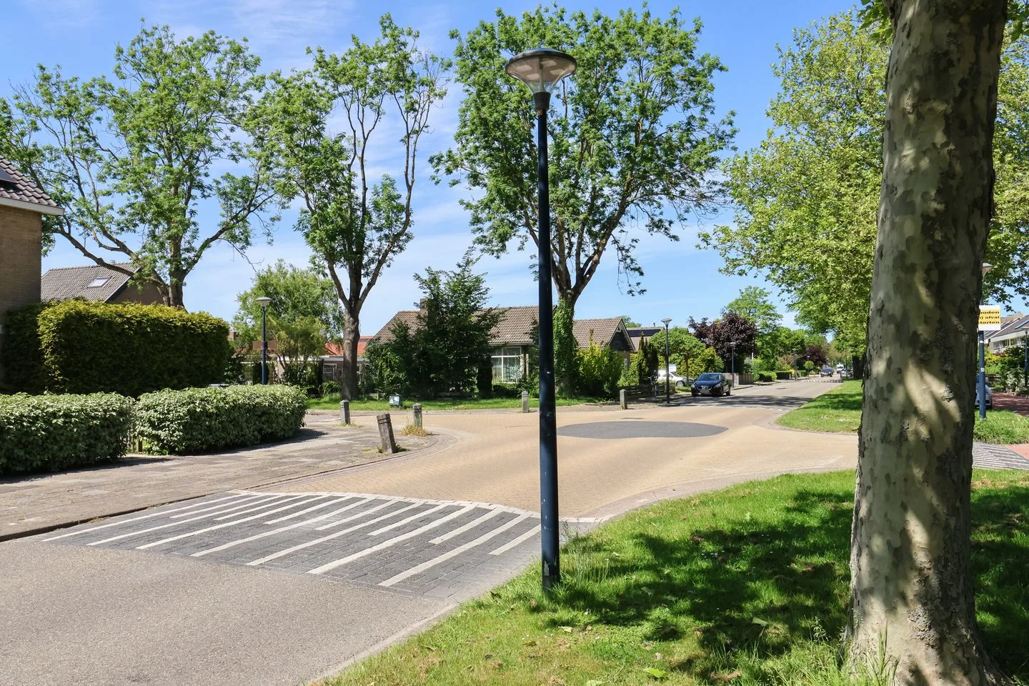 F. Domela Nieuwenhuisstraat 75 Harlingen thumbnail 53