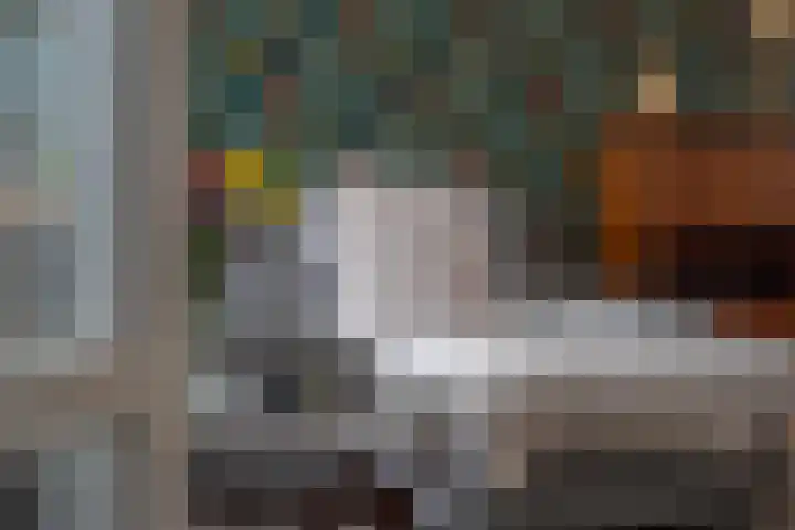 F.J. Ebbensstraat 101 Tiel thumbnail 10