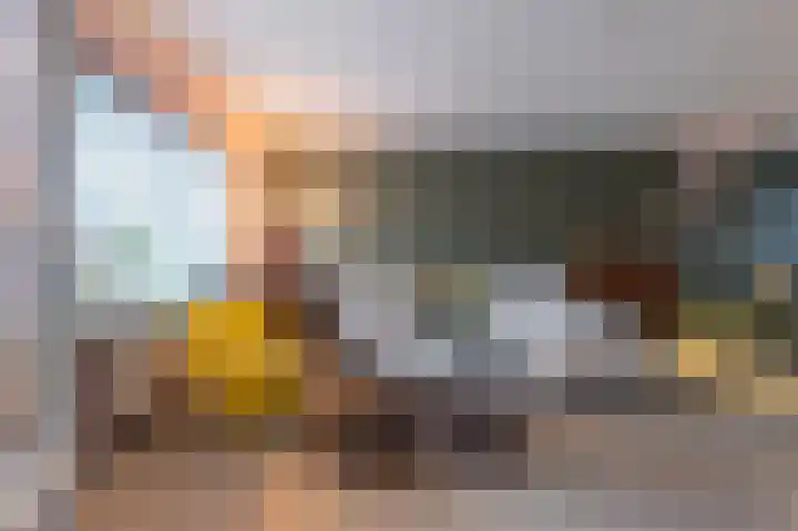 F.J. Ebbensstraat 101 Tiel thumbnail 12