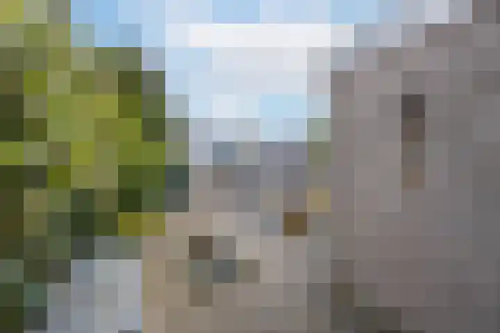F.J. Ebbensstraat 101 Tiel thumbnail 31