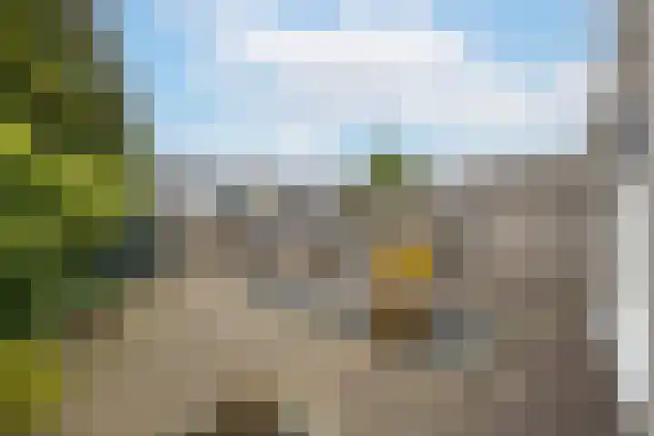F.J. Ebbensstraat 101 Tiel thumbnail 32