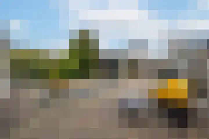 F.J. Ebbensstraat 101 Tiel thumbnail 34
