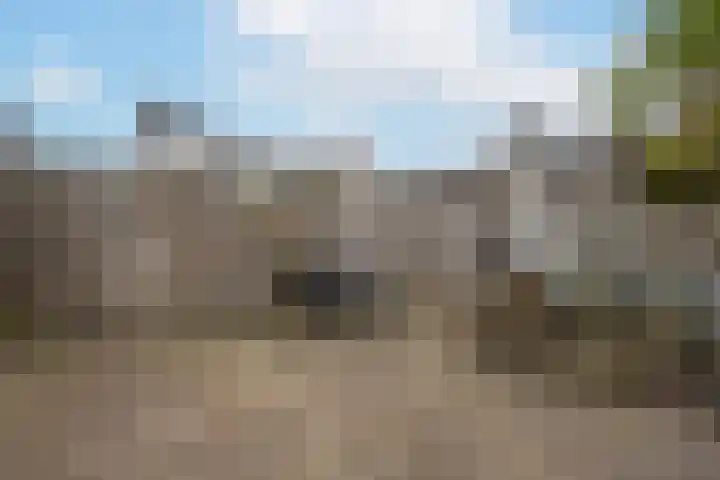 F.J. Ebbensstraat 101 Tiel thumbnail 35