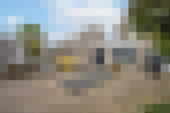 F.J. Ebbensstraat 101 Tiel thumbnail 37