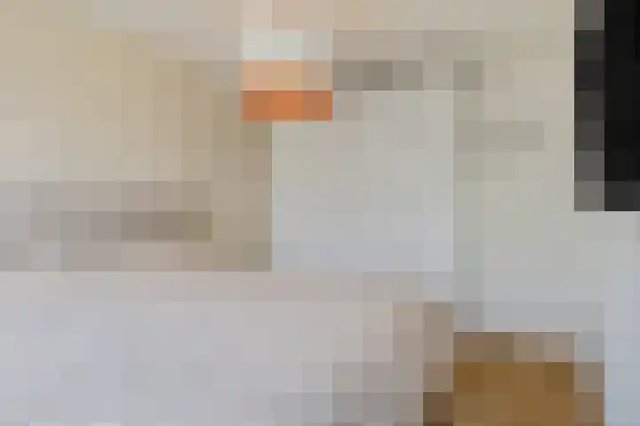 F.J. Ebbensstraat 19 Tiel thumbnail 17