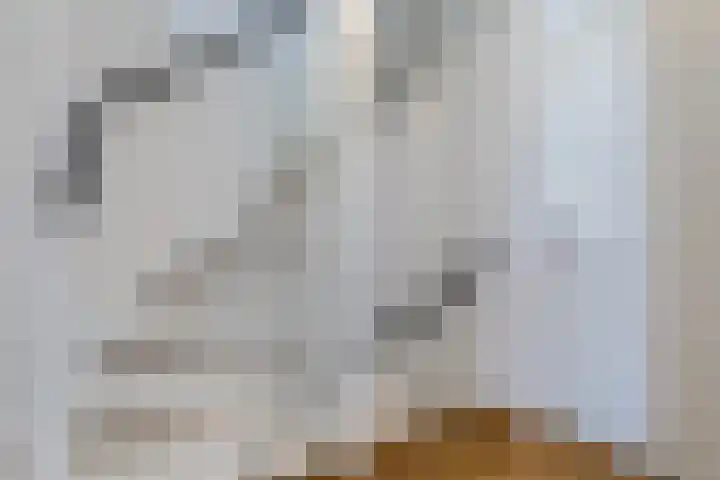 F.J. Ebbensstraat 19 Tiel thumbnail 24