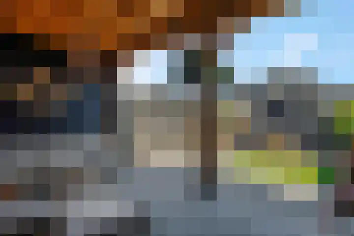F.J. Ebbensstraat 19 Tiel thumbnail 28