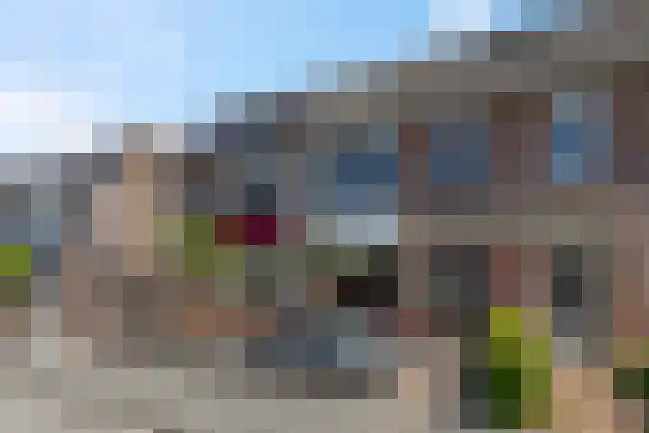 F.J. Ebbensstraat 19 Tiel thumbnail 31