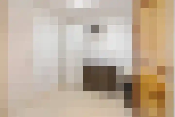 F.J. Ebbensstraat 24 Tiel thumbnail 16