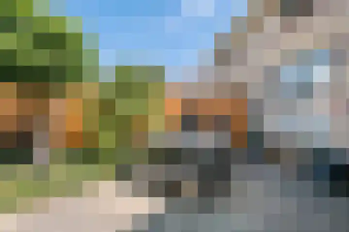 F.J. Ebbensstraat 24 Tiel thumbnail 31