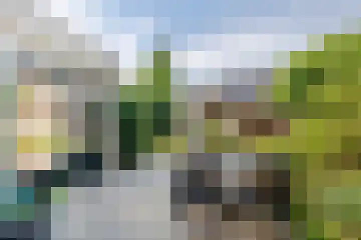 F.J. Ebbensstraat 24 Tiel thumbnail 32