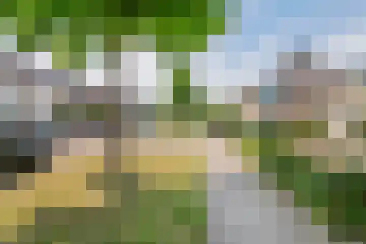 F.J. Ebbensstraat 24 Tiel thumbnail 34