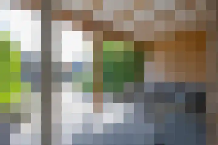 F.J. Ebbensstraat 45 Tiel thumbnail 20