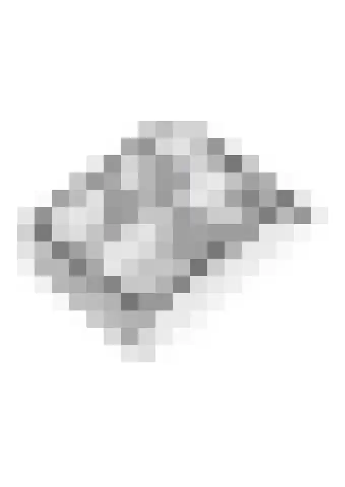 F.J. Ebbensstraat 45 Tiel thumbnail 52