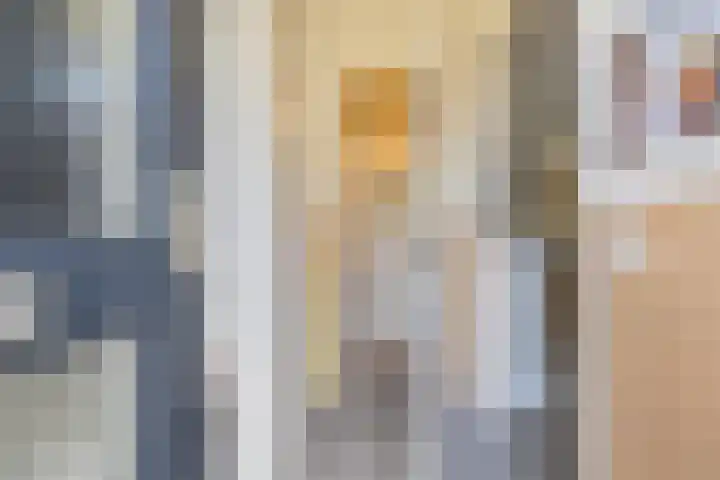 F.J. Ebbensstraat 45 Tiel thumbnail 8