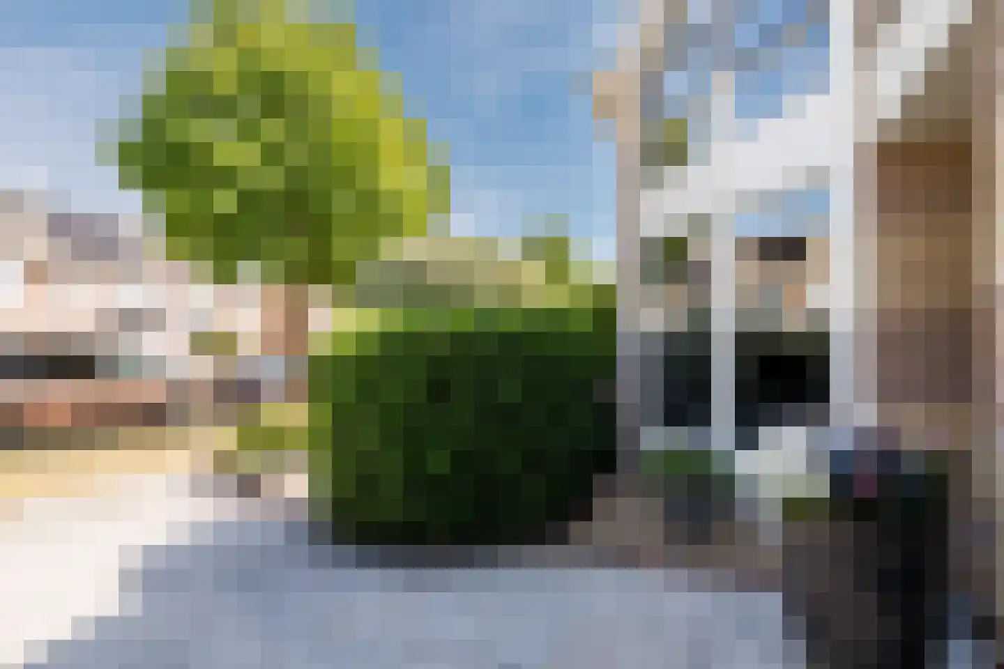F.J. Ebbensstraat 6 Tiel thumbnail 4