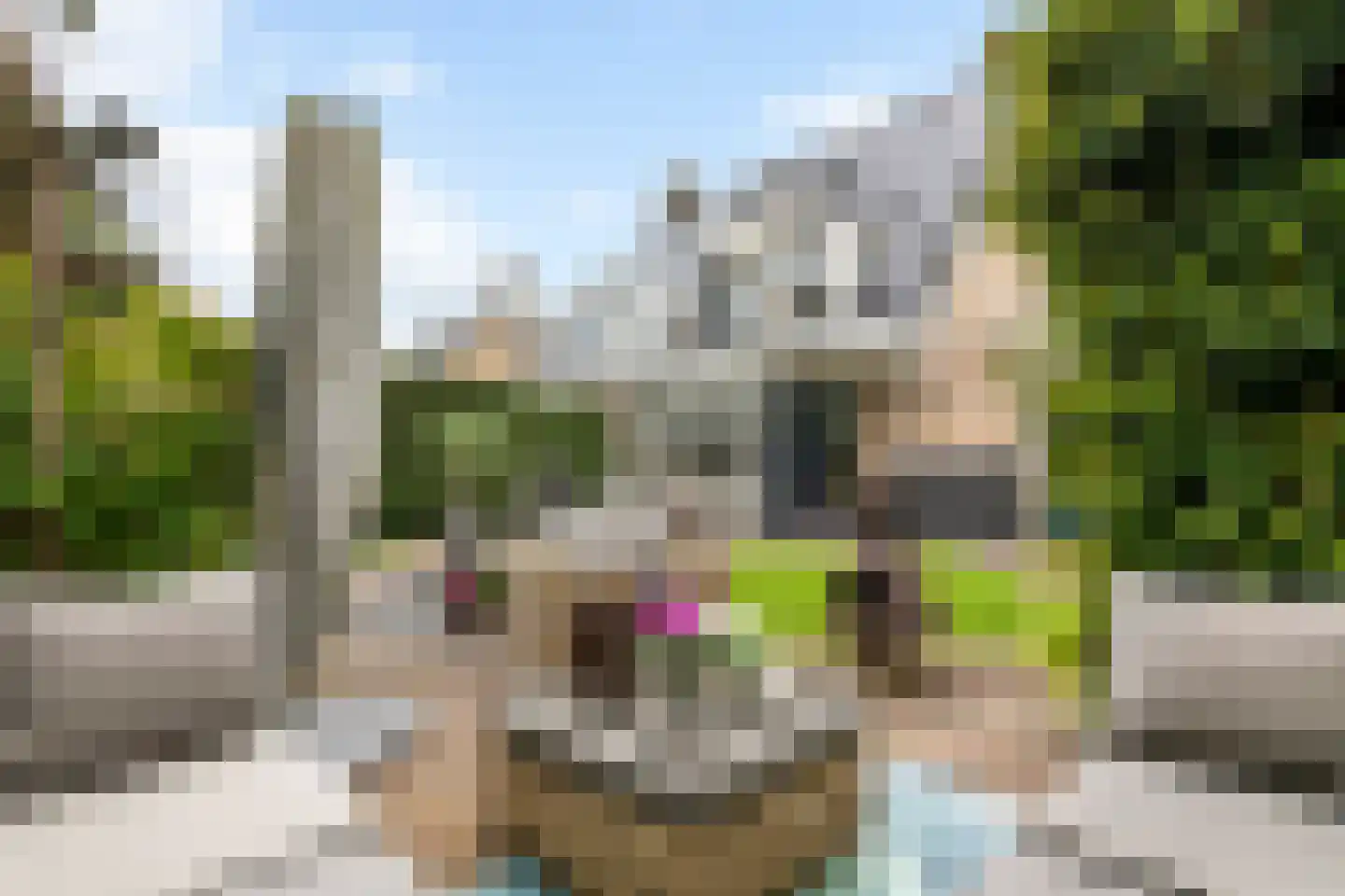F.J. Ebbensstraat 60 Tiel thumbnail 38